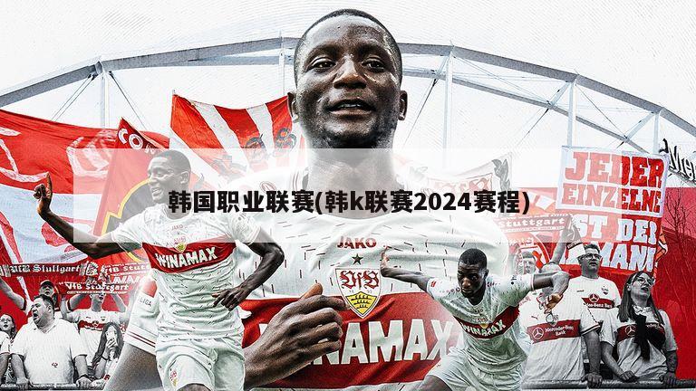 韩国职业联赛(韩k联赛2024赛程)