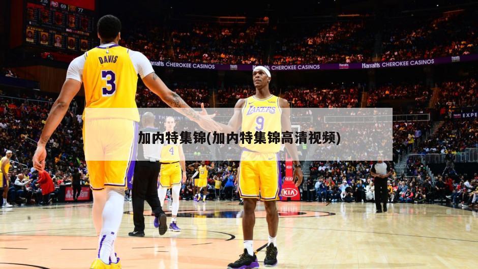 加内特集锦(加内特集锦高清视频)