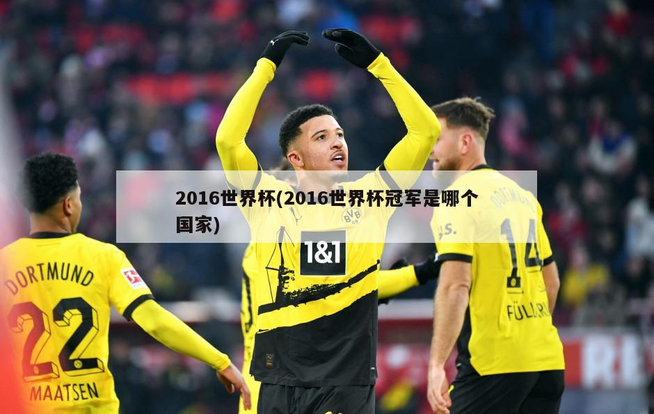 2016世界杯(2016世界杯冠军是哪个国家)