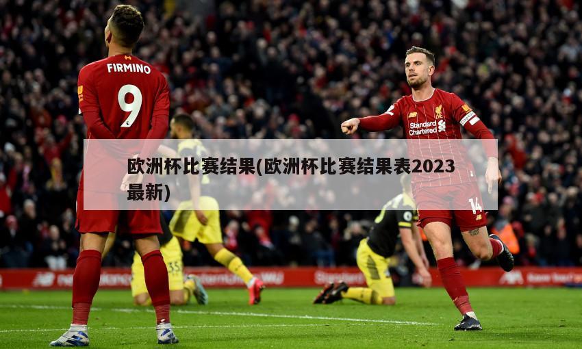 欧洲杯比赛结果(欧洲杯比赛结果表2023最新)