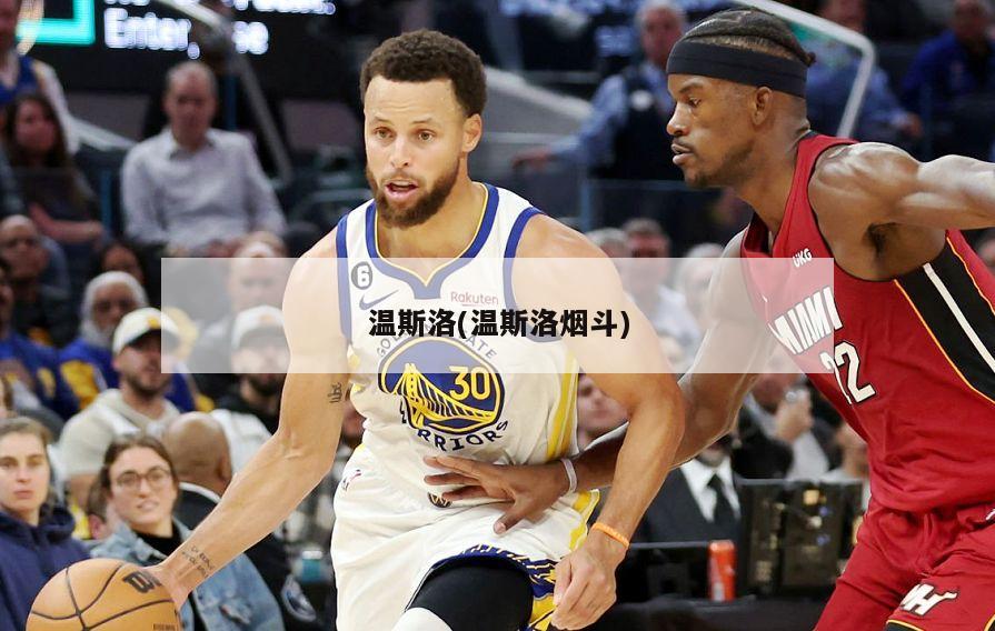 温斯洛(温斯洛烟斗)