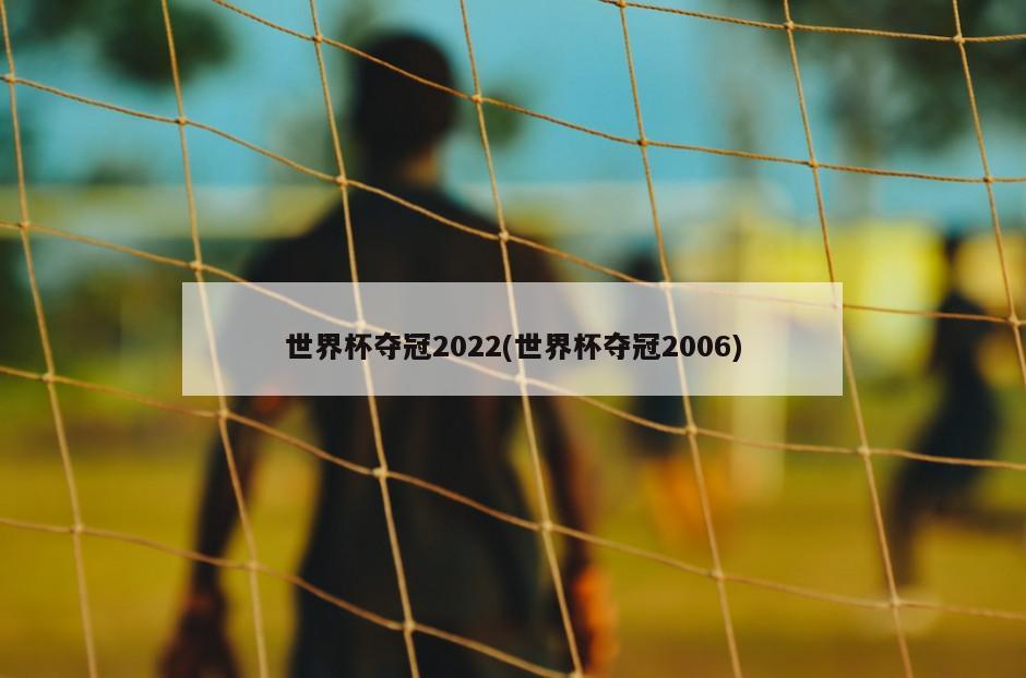 世界杯夺冠2022(世界杯夺冠2006)