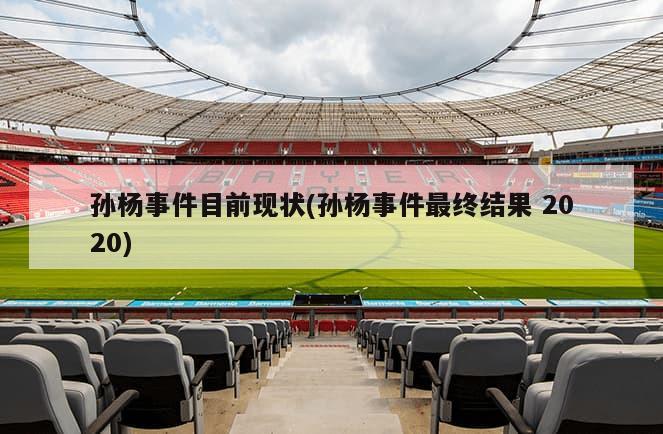 孙杨事件目前现状(孙杨事件最终结果 2020)