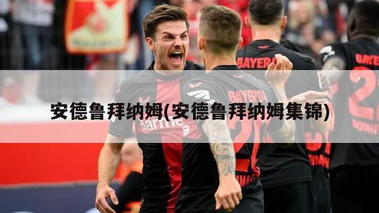 安德鲁拜纳姆(安德鲁拜纳姆集锦)