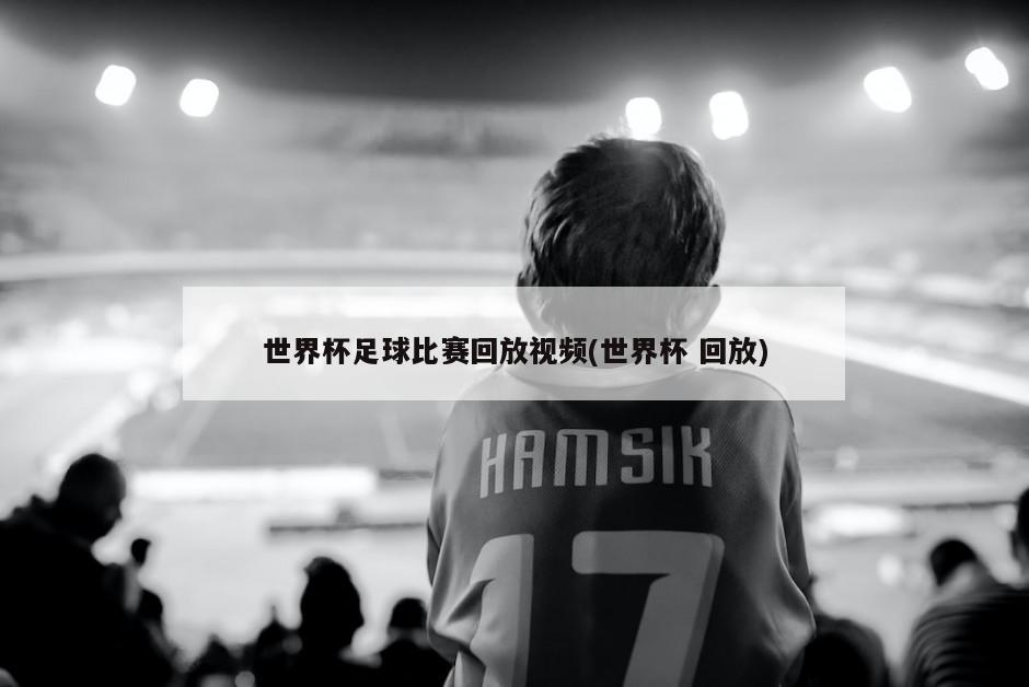 世界杯足球比赛回放视频(世界杯 回放)