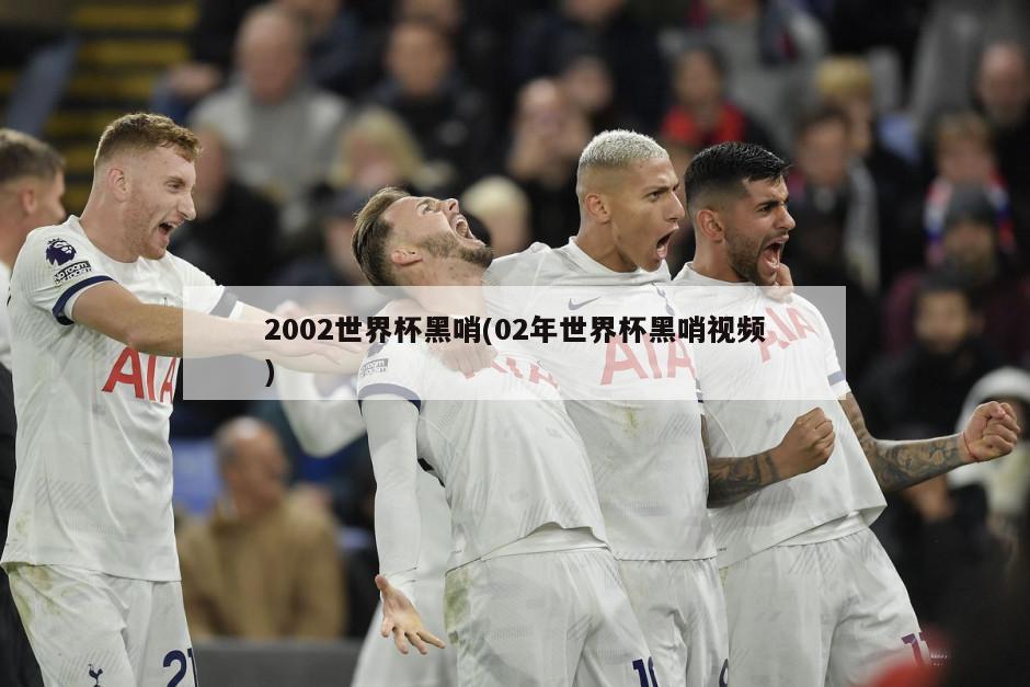 2002世界杯黑哨(02年世界杯黑哨视频)