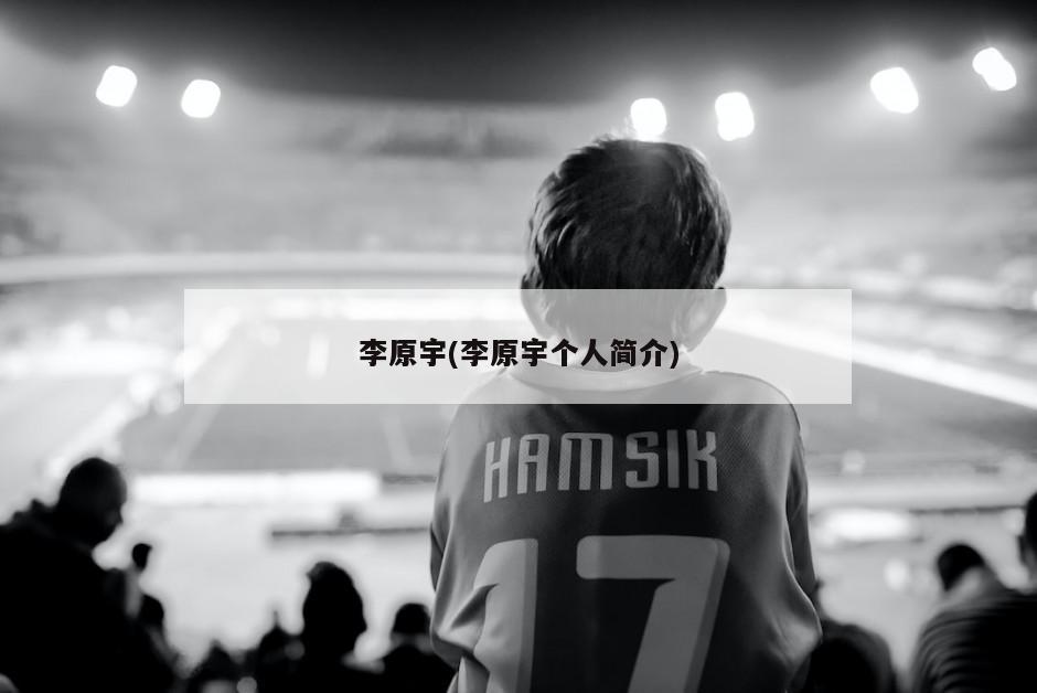 李原宇(李原宇个人简介)