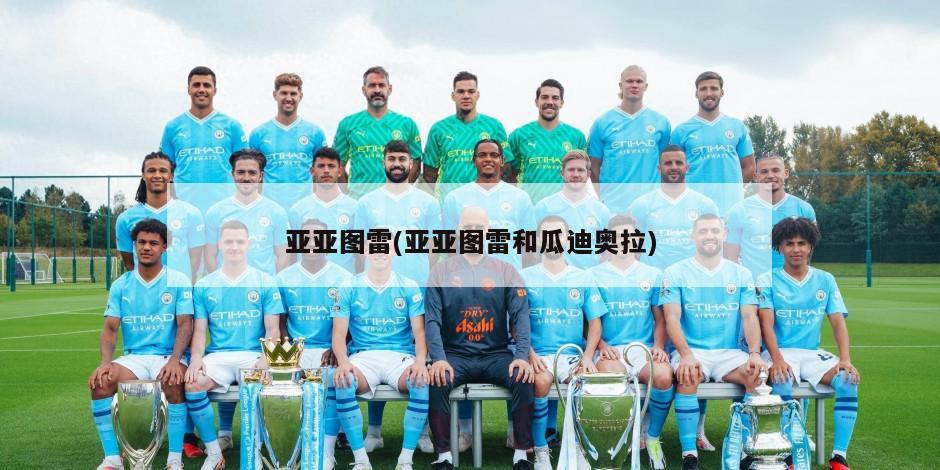 亚亚图雷(亚亚图雷和瓜迪奥拉)