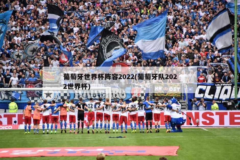 葡萄牙世界杯阵容2022(葡萄牙队2022世界杯)