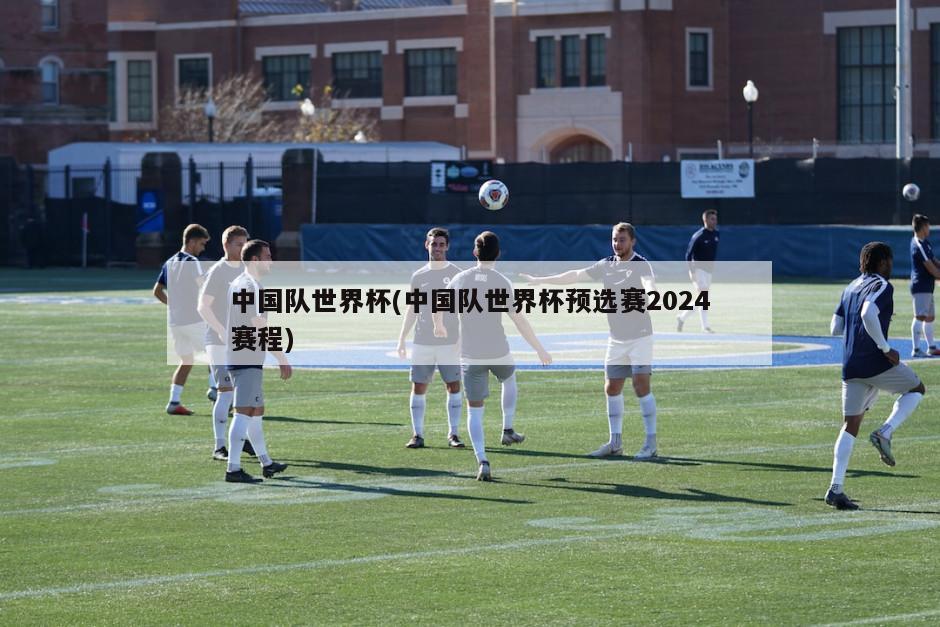 中国队世界杯(中国队世界杯预选赛2024赛程)