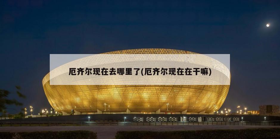 厄齐尔现在去哪里了(厄齐尔现在在干嘛)