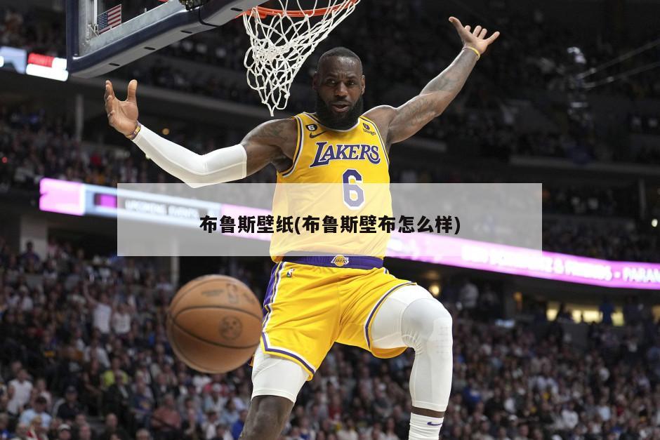 布鲁斯壁纸(布鲁斯壁布怎么样)