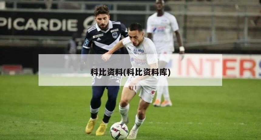 科比资料(科比资料库)