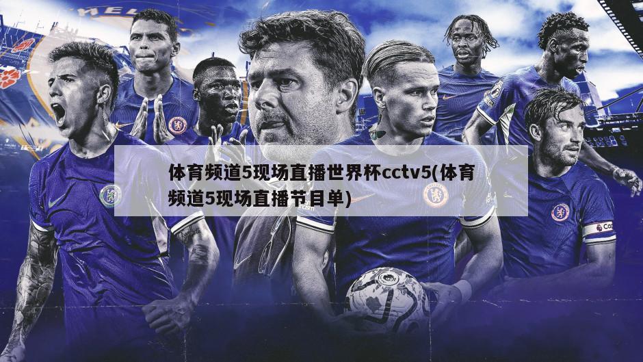 体育频道5现场直播世界杯cctv5(体育频道5现场直播节目单)