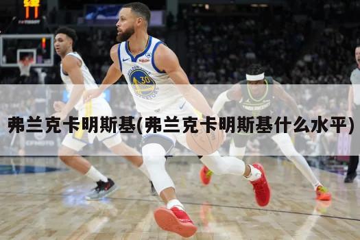 弗兰克卡明斯基(弗兰克卡明斯基什么水平)