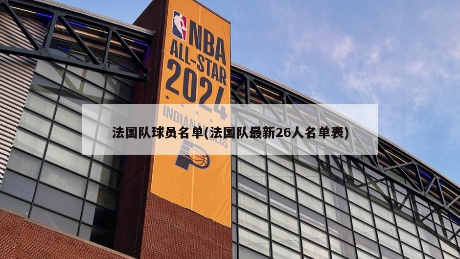 法国队球员名单(法国队最新26人名单表)