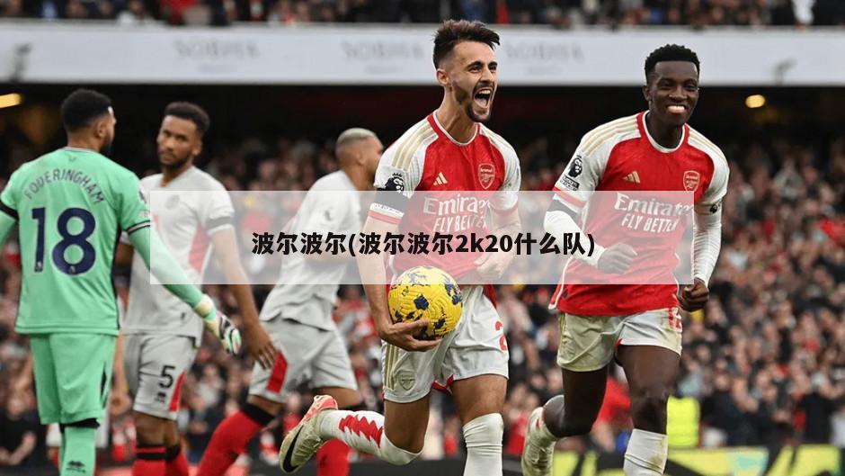 波尔波尔(波尔波尔2k20什么队)