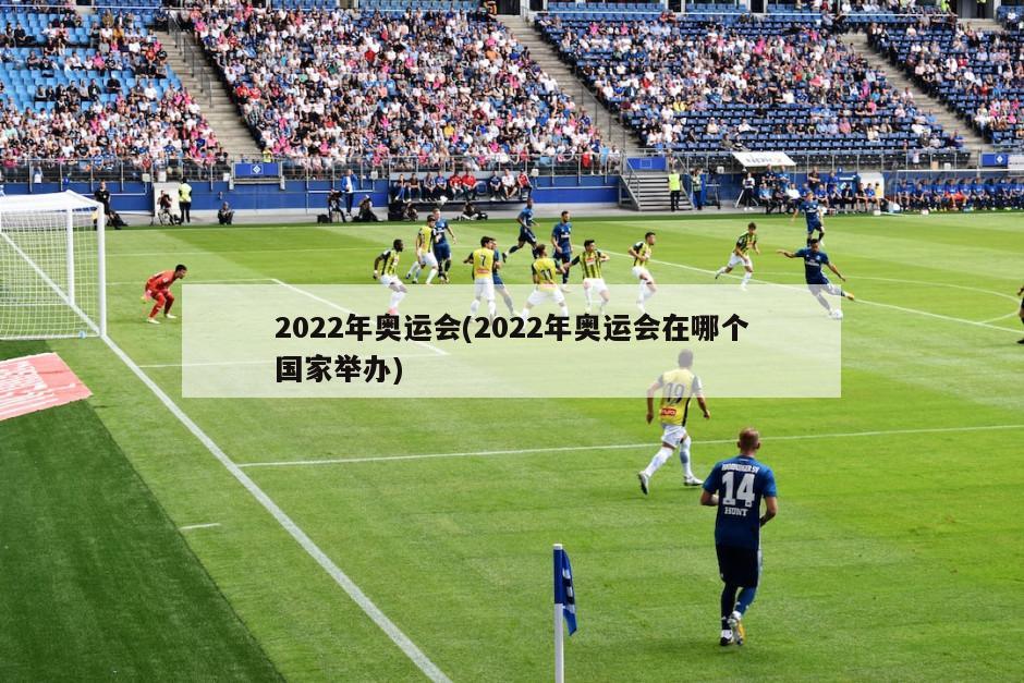 2022年奥运会(2022年奥运会在哪个国家举办)