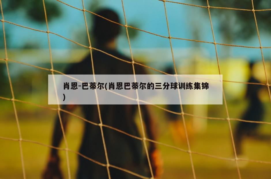 肖恩-巴蒂尔(肖恩巴蒂尔的三分球训练集锦)
