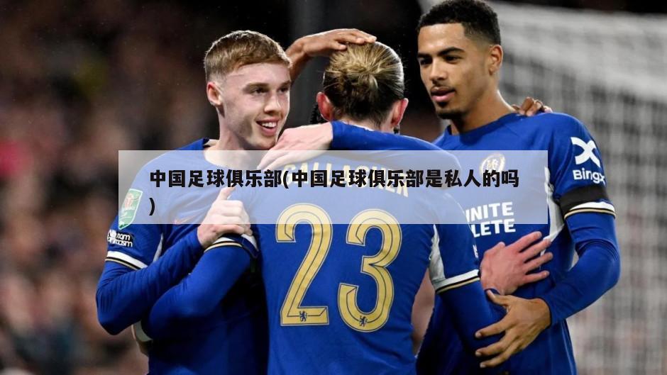 中国足球俱乐部(中国足球俱乐部是私人的吗)